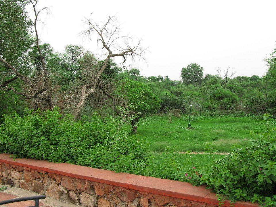 Hotel Bharatpur Ashok Экстерьер фото