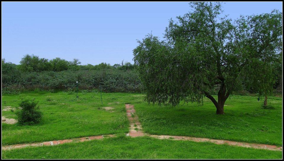Hotel Bharatpur Ashok Экстерьер фото